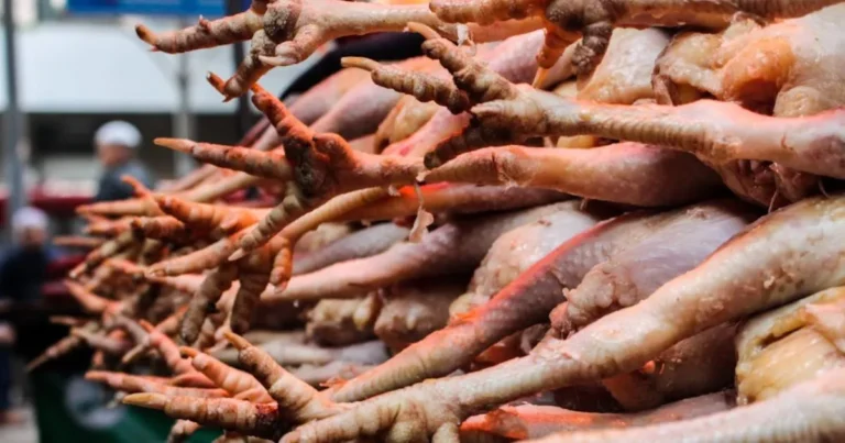 Learn How to Cook Chicken Feet with Simple Steps